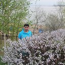 ���� ���������, ��������� - ��������� 3 ��� 2014 � ������ ���� ����������