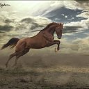 ���� ������, ����������� - ��������� 7 ���� 2014 � ������ ��������