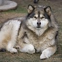 ���� �����, �������� - ��������� 8 ������� 2014 � ������ ������ ��������