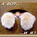 ���� ����, ���� - ��������� 24 ��� 2014 � ������ ������ ��������