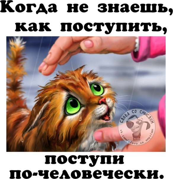 Жила поживала когда то большая семья. Настала пора переезда в иные края. Когда же мешки с барахлом ...