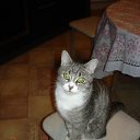 ��� ������� ����� ����� �� ������� ���� ����������