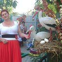 ���� �����, ���������, 60 ��� - ��������� 25 ���� 2014 � ������ ���� ����������