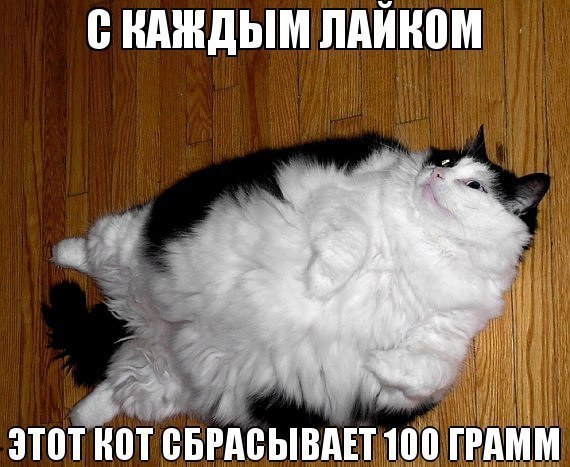 Art & Fun - 10  2014  01:01