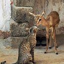  Alehandro,  -  16  2014    