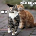 ���� �����, �������� - ��������� 23 ��� 2014 � ������ ������ ��������