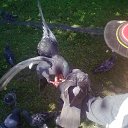 ���� �����, �����������, 61 ��� - ��������� 22 ������� 2014 � ������ ������������������»