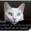 ���� �������, ��������-��-������, 48 ��� - ��������� 24 ���� 2014 � ������ ������ ��������