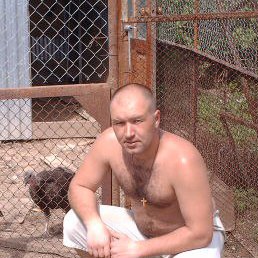 ��������, �������, 42 ����