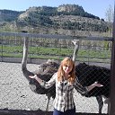 ���� ����, ����������, 33 ���� - ��������� 20 ���� 2014 � ������ ���� ����������