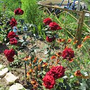 ���� ����������, ������, 58 ��� - ��������� 13 ���� 2014 � ������ ���� ����������