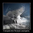 ���� La Gatita, ������, 64 ���� - ��������� 19 ������ 2014 � ������ ������ ��������