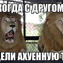 ���� ���, ������-��-����, 38 ��� - ��������� 30 ������ 2014 � ������ ������ ��������