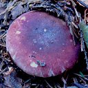 ���� �����, �����, 64 ���� - ��������� 6 ��� 2014 � ������ ������������ ������