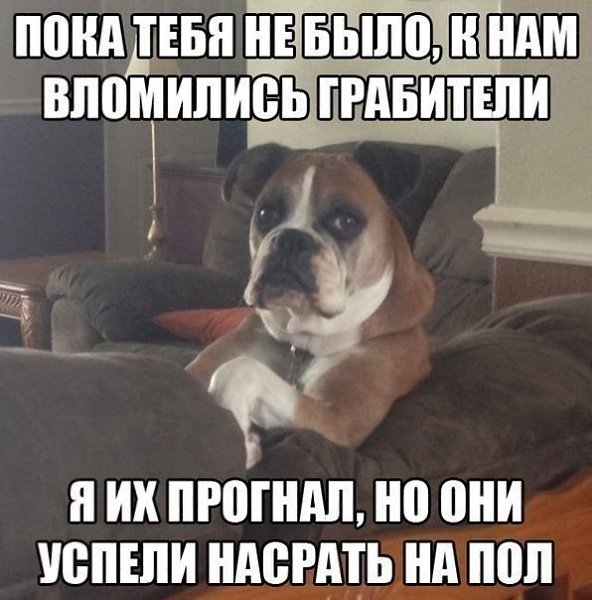 �������������� �� ���: fotostrana.ru/public/232203 ;-)