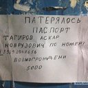���� �����, �����, 37 ��� - ��������� 14 ���� 2014 � ������ ������ ��������