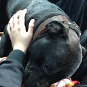  Roxanne, - -  28  2014   --