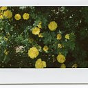 ���� ������, ���������, 39 ��� - ��������� 11 ������� 2014 � ������ �FujifilmInstax�