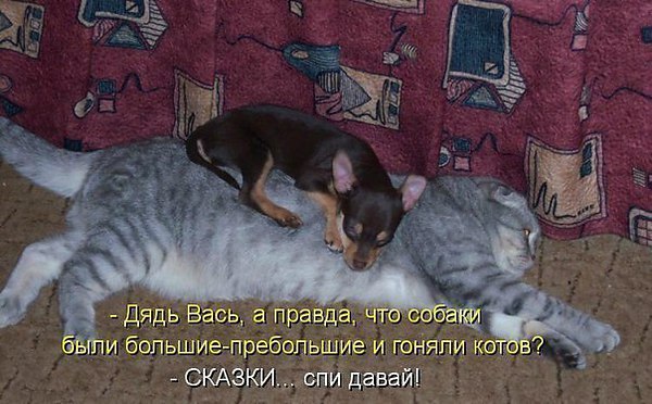 ������ - 18 ������ 2014 � 21:20