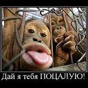 ���� ���������, �������� - ��������� 25 ����� 2014 � ������ ���� ����������