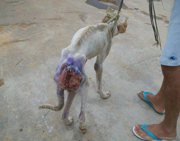 Добрые люди - 2