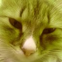 ���� �����, ������� - ��������� 11 ������ 2014 � ������ ������ ��������