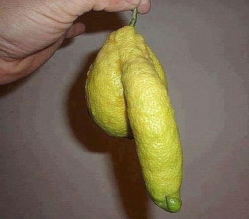 ,    ????