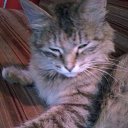  , -, 45  -  25  2014