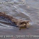  Elena, , 61  -  29  2014   !