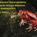 ���� ����, ������ �������� - ��������� 10 ������� 2014 � ������ ���� ����������