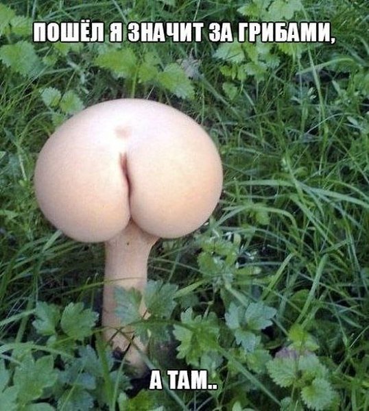     ! =))) fotostrana.ru/public/233738