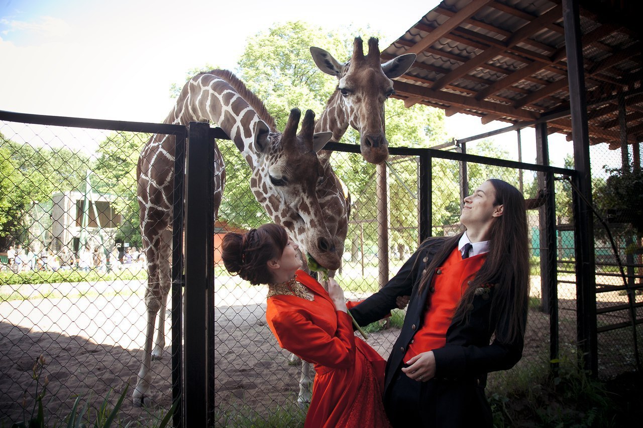 зоопарк можно. шанхай зоопарк. зоопарк роев ручей красноярск. зоопарк можно. московский зоопарк.
