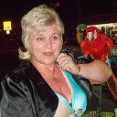 ���� ����, ����� - ��������� 1 ������� 2014 � ������ ����л