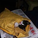 ���� ����, ������ - ��������� 10 ������ 2014 � ������ ���� ����������