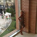 ���� �����, ������ �������� - ��������� 23 ���� 2014 � ������ ���� ����������