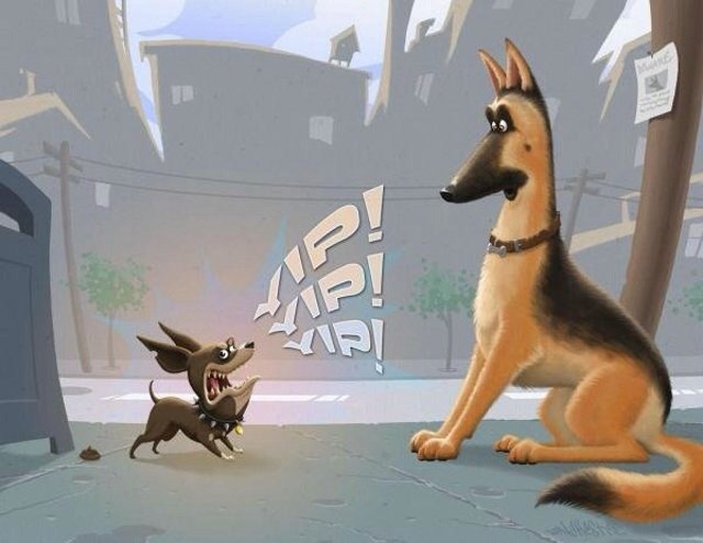.•°Dogs Forever°•. - 1  2014  19:29