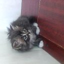 ���� ������, ��������� - ��������� 19 ���� 2014 � ������ ������ ��������