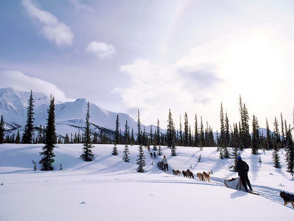 ★    ★ - 1  2014  18:02