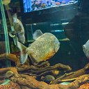  , , 46  -  24  2014      &quot; &quot;