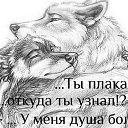   , -, 38  -  11  2014    