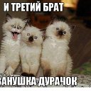    .., - -  15  2014    
