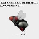 ���� ����, ����������, 52 ���� - ��������� 19 ���� 2014 � ������ ������ ��������