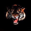 �� �������� ����, ��� ����������
 �� ������� ���� ����������