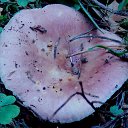 ���� �����, �����, 64 ���� - ��������� 6 ��� 2014 � ������ ������������ ������