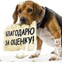 ���� Evgenia, ��������� - ��������� 27 ����� 2014 � ������ ���� ����������