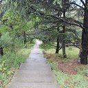 ���� ������, �����������, 42 ���� - ��������� 14 ���� 2014 � ������ ��������