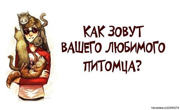 ����� - 17 ���� 2014 � 22:18