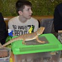 ���� ������, ������, 51 ��� - ��������� 24 ������ 2014 � ������ �����������-7�