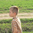 ���� ����, ��������, 36 ��� - ��������� 2 ��� 2014 � ������ ������ ��������