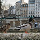 ���� ����, ����������� - ��������� 7 ��� 2014 � ������ ������ ��������